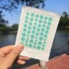 mint-green-star-hydrocolloid-pimple-patch-48-pieces Mint Green Star Hydrocolloid Pimple Patch โ 48 Pieces