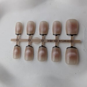 Champagne Rose Nude Cat Eye Press-On Nails