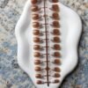 mocha-white-french-press-on-nails-set-1 Mocha White French Press-On Nails Set